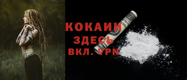 прущие грибы Армянск
